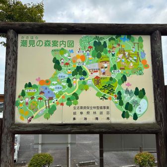 潮見の森🌳