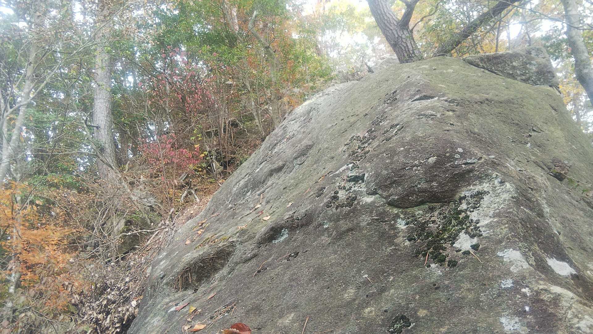 大岩の尾根まで登りました