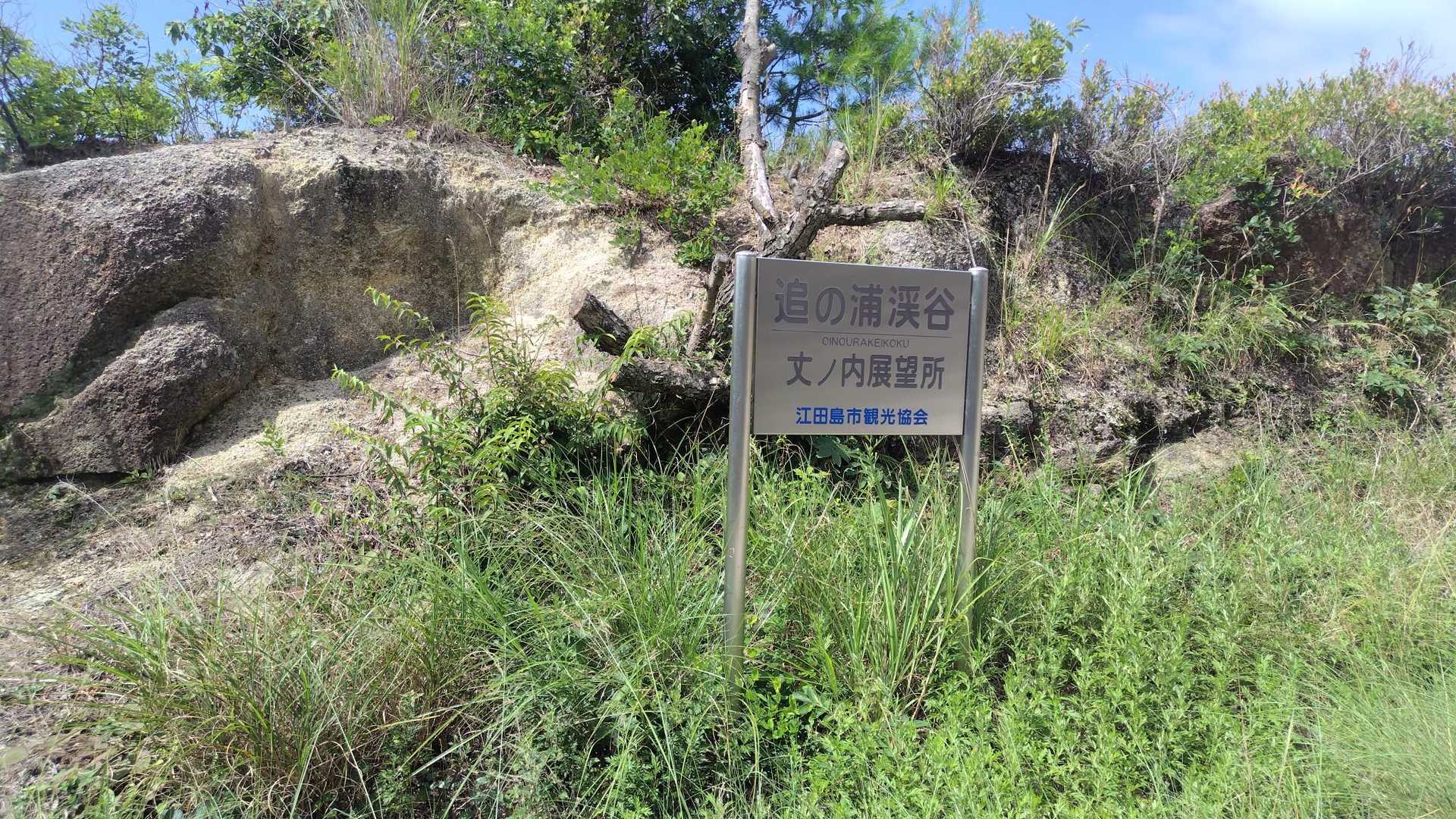 陀峯山 往復コースの写真