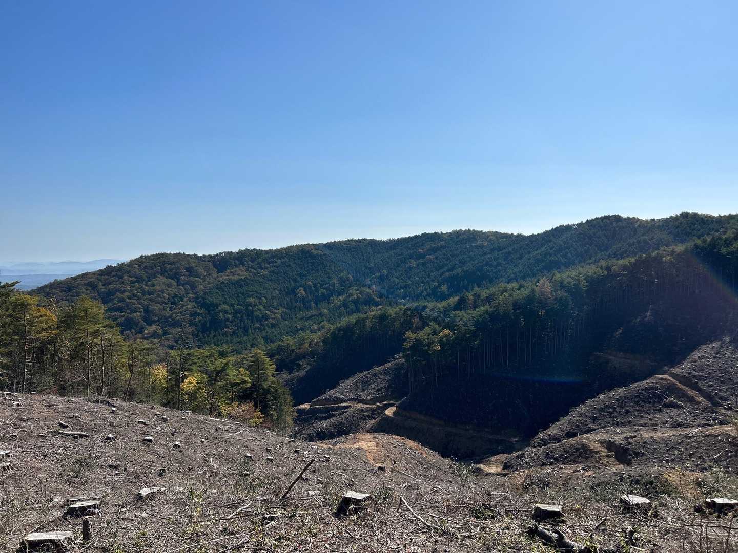 大狩山 周回コースの写真