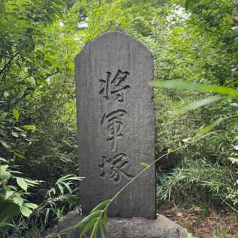 ここが八国山山頂なのかな？