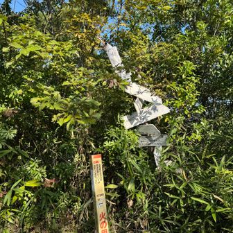 母塚山山頂に到着