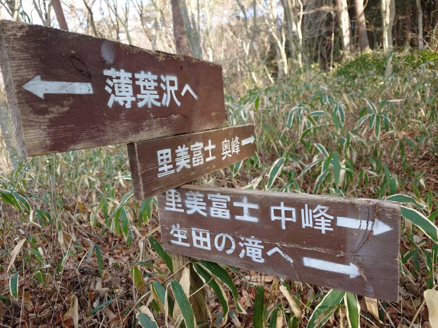 里美富士への鞍部
ここまで急登ｷﾂｲ〰️😆