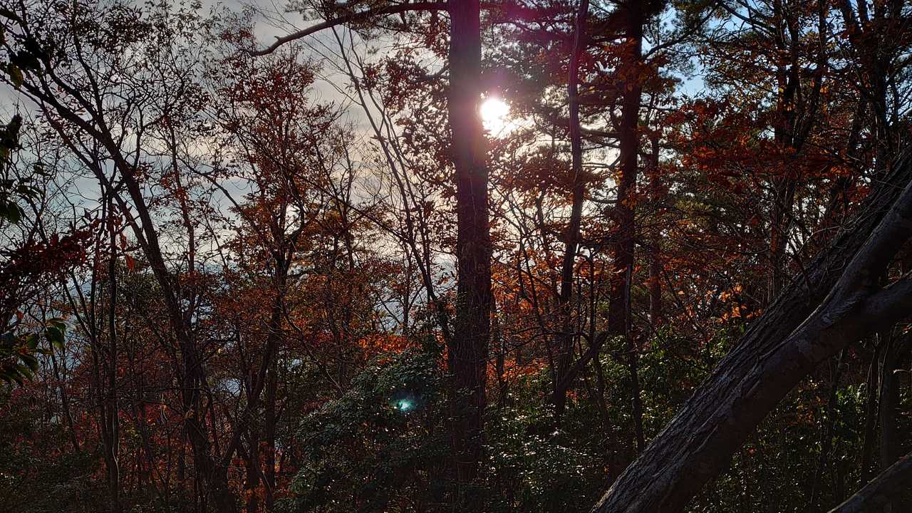 今日はまだ陽の高い内に下山できそうだ