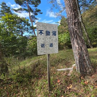 近道して帰ります