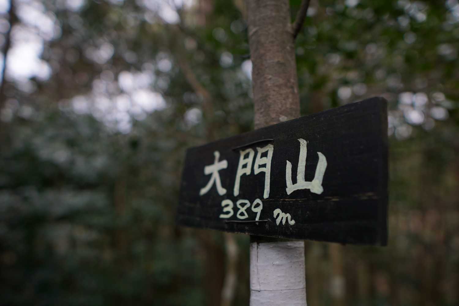 ちょっとだけ大変でしたが無事登頂👏
軽めの昼食済ませてさっさと下山🚶‍♂️