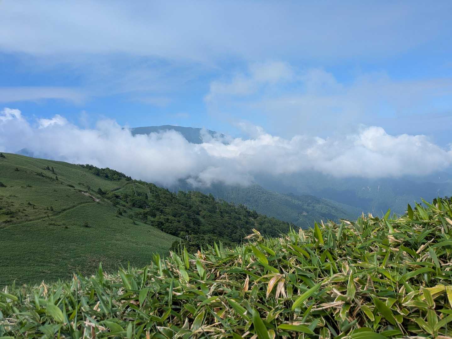 恵那山、雲がくれしてます