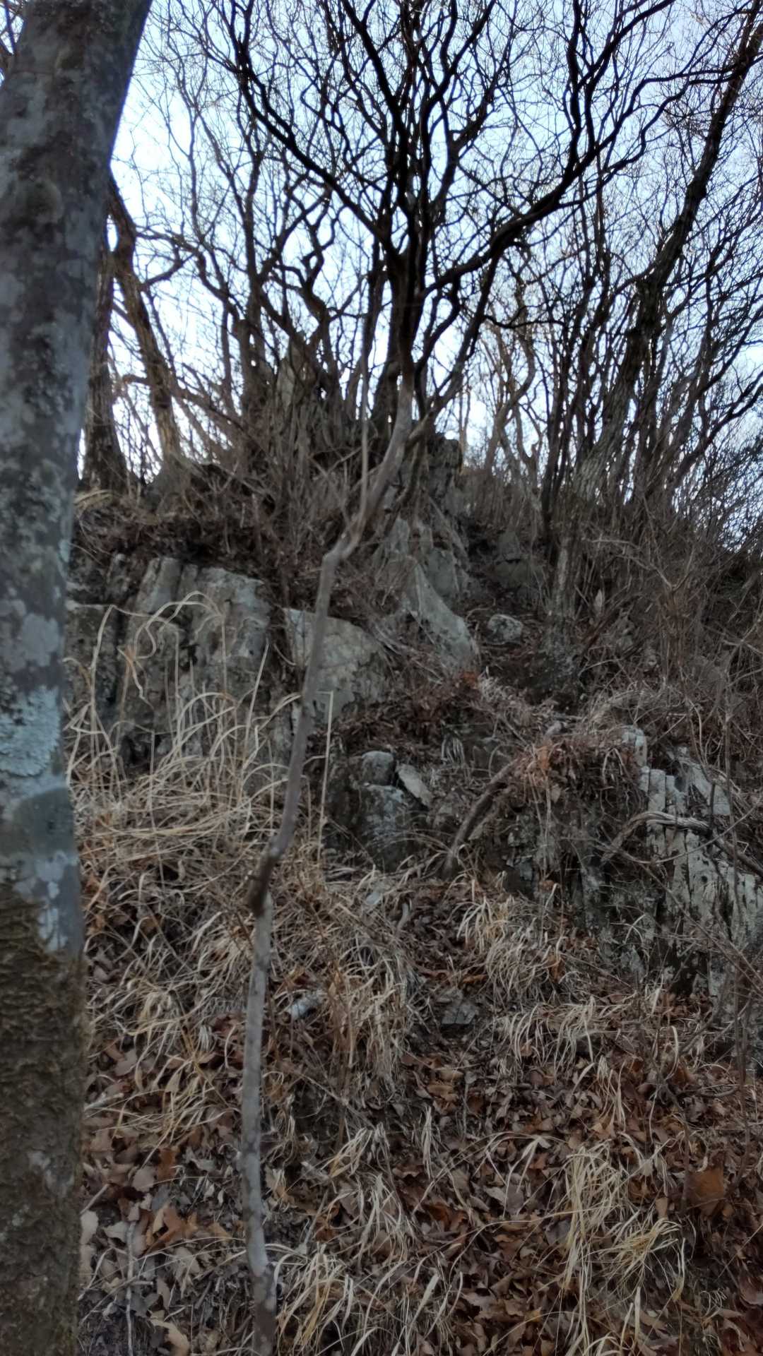 登山道