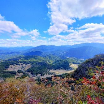 風があり気温は寒め