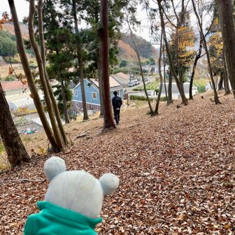 じゃ〜下山しよか〜＼( 'ω')／

落ち葉カサカサ(#'ω')イイ感じ
ドラえもんの裏山ってこんな感じのお山かなって思いつつ久しぶりに新たなピークゲット〜
＼(#'ω')／