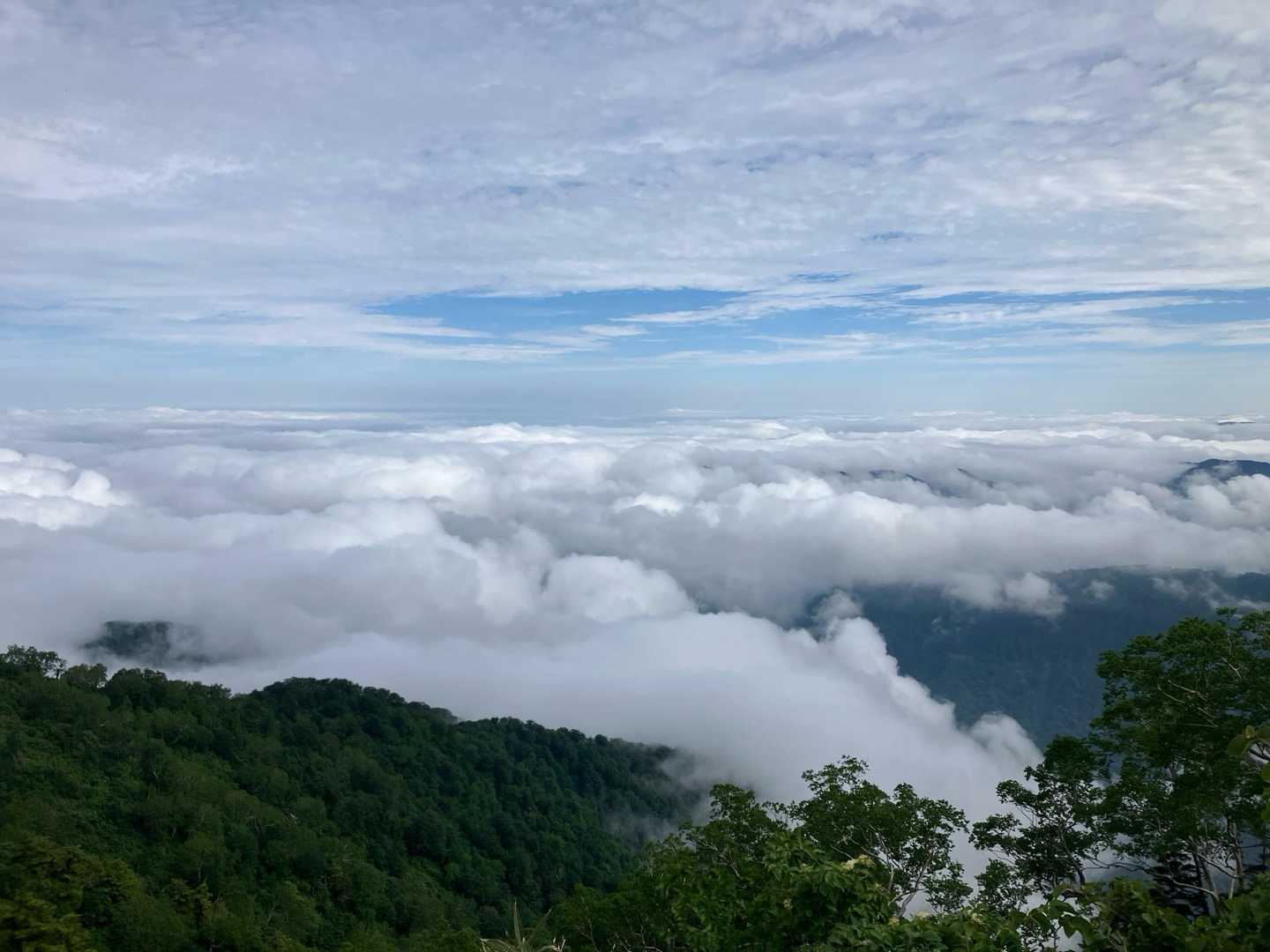 登るの必死でふと振り向くと雲の上☁️
雲海サイコーー😆
少し元気でてきた🏃‍♂️‍➡️