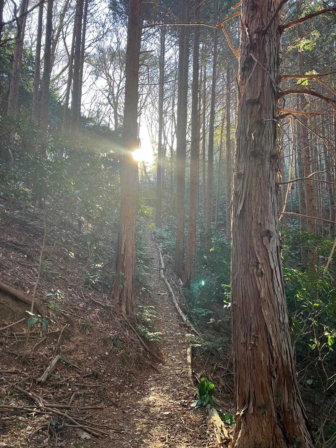 御嶽山-雨巻山 周回コースの写真