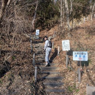 家族の若者と登山開始
この子の速さには参った💦