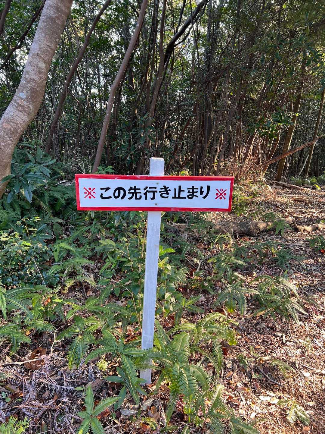 優しい案内