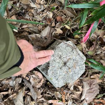 いきなりですが近場No.1岩熊山⛰️頂上三角点ヨシ！