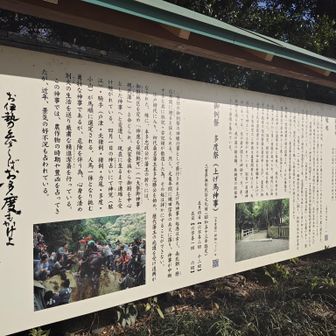 "多賀大社"の"多度"バージョン😄