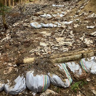 かなり大掛かりな整備
ほんとにありがとうございます😍