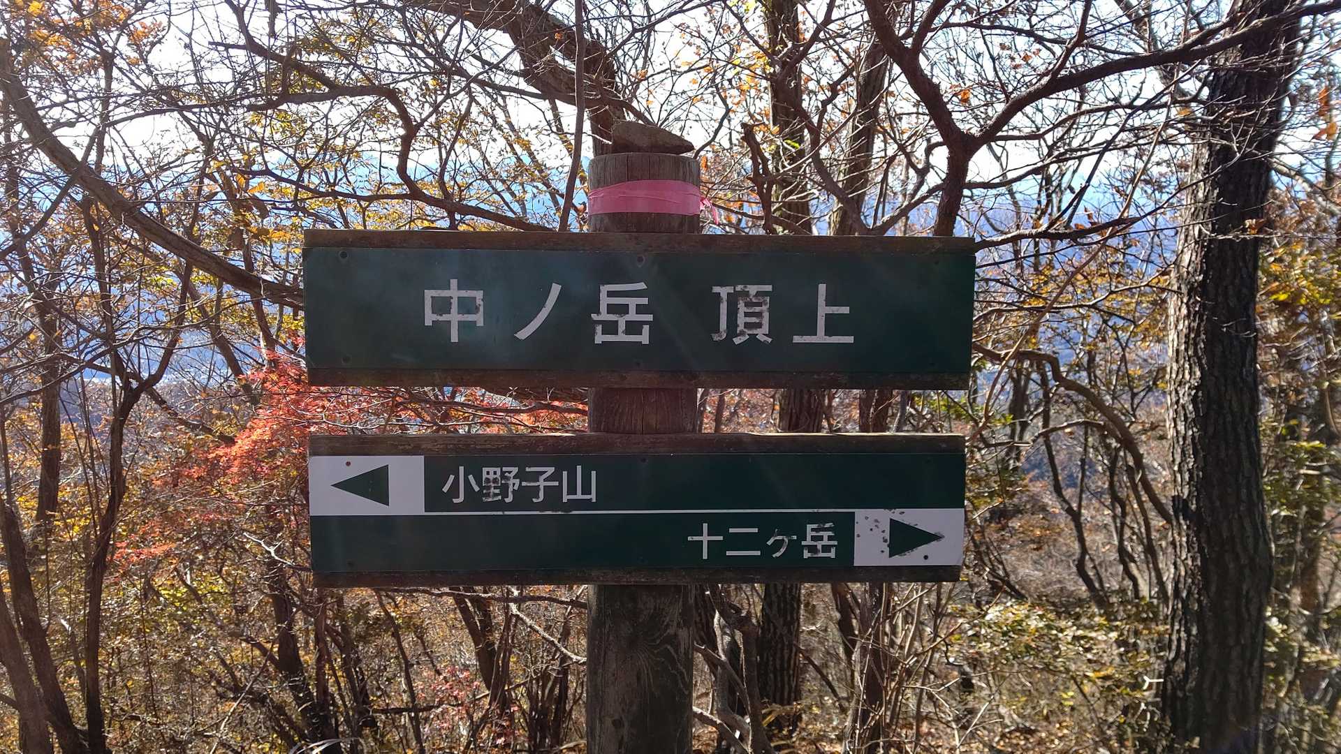 続いて中ノ岳到着
眺望はほとんどないですね💧