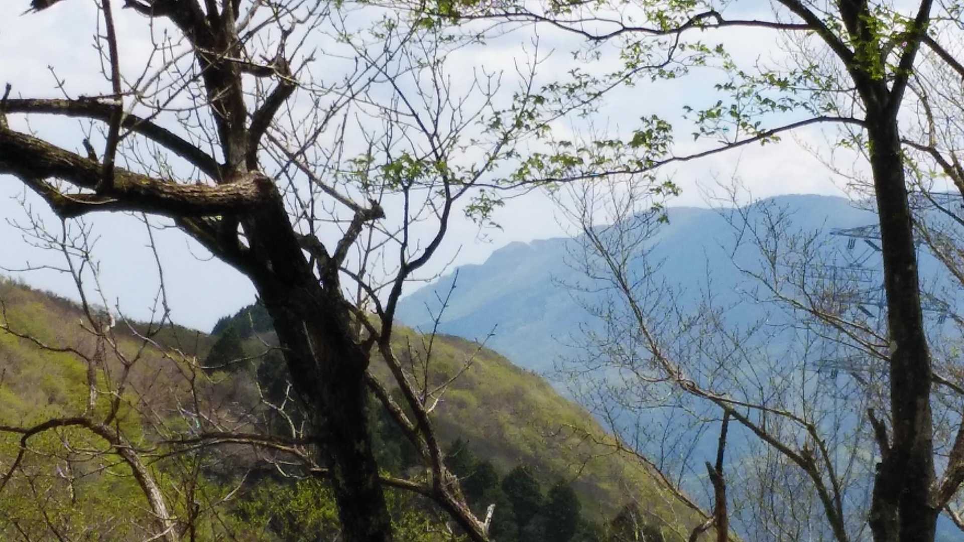 藤原岳も