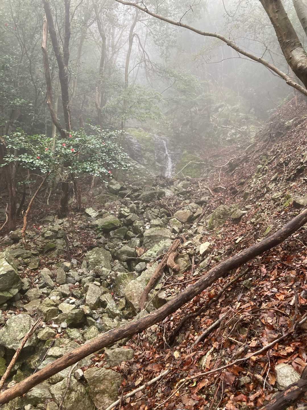 序盤から霧が凄い
手拭いがびちょびちょになって💦