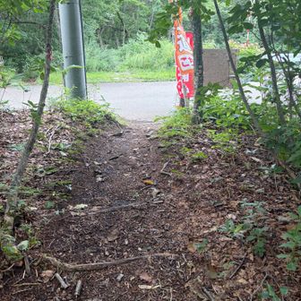 最後だけ少し山道感ある沢沿いの道を歩いて、最初に松手山コースへ行く際に歩いた舗装路と合流