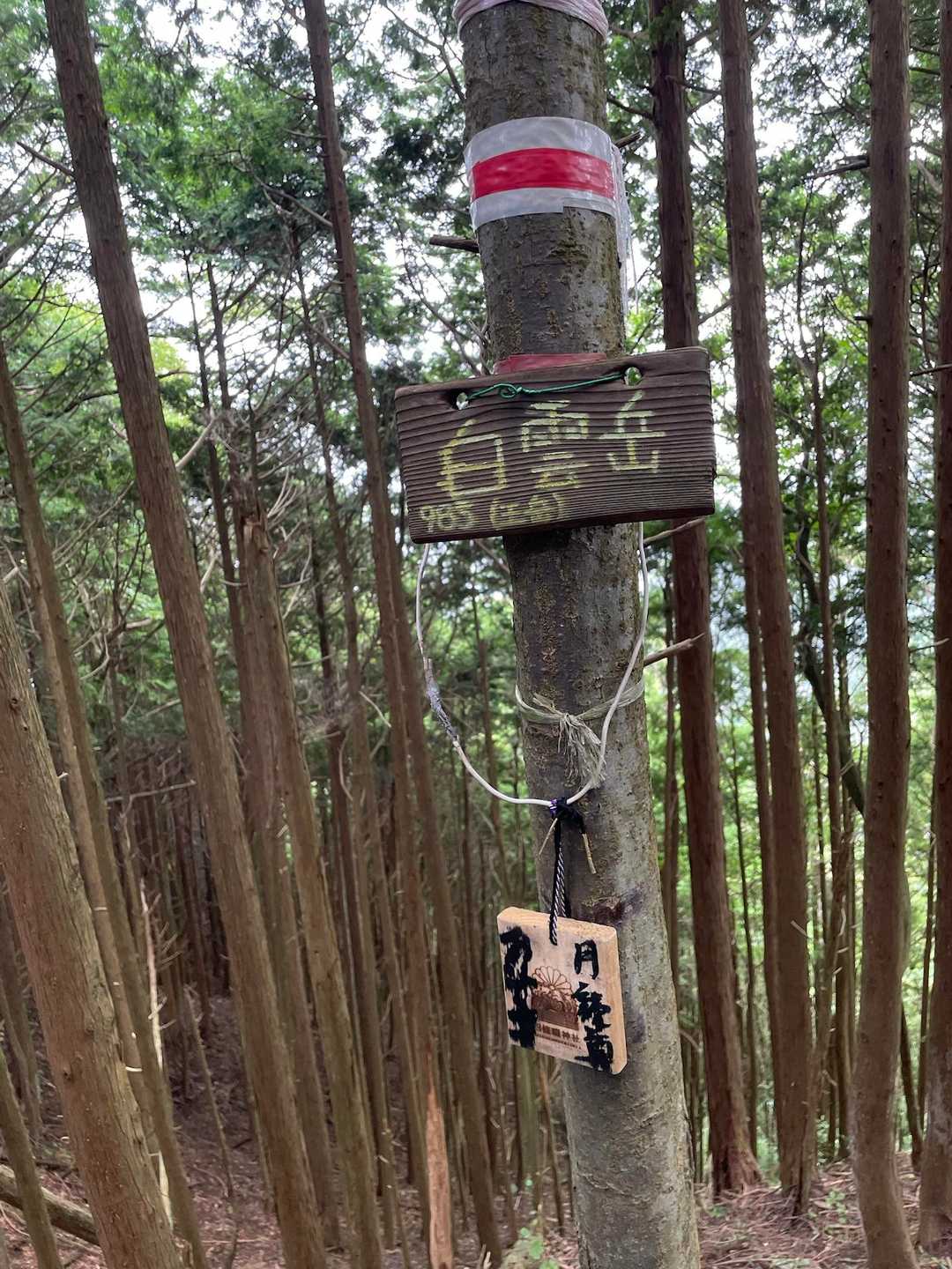 金剛山-金剛山山頂売店-金剛山葛木神社-水越峠バス停 縦走コースの写真