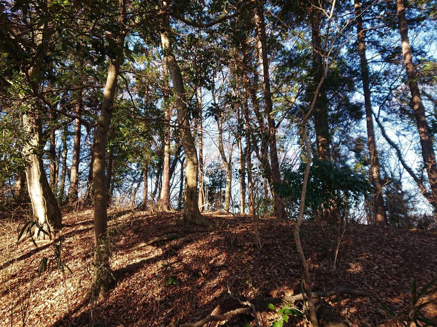 善波山