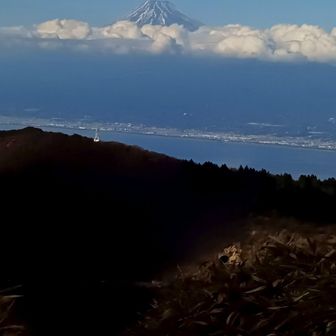 顔見せたけど、頭上に厚い雲
大観風