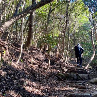 頑張ってます！