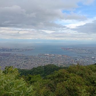 雨のあとは空気がきれいにゃ。
