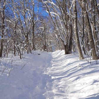 モッフモフ😆気持ちいい
トレースありがたい
先行者さんに感謝