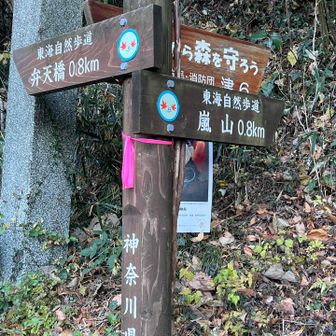 ここから登山道