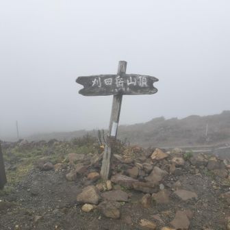 刈田岳山頂