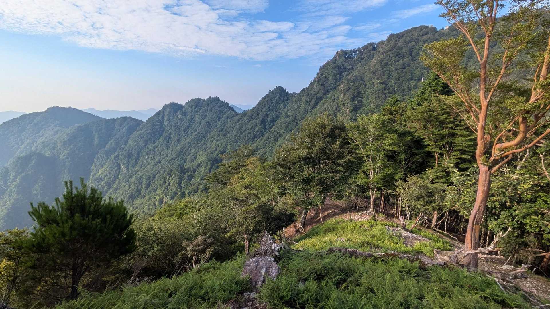 行仙岳・笠捨山登山口-行仙岳-笠捨越-笠捨山-行仙宿登山口 周回コースの写真