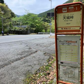 天城峠バス停まで下山🙌
バスの時間がギリギリだったので、有名な天城山隧道はあっさり諦めることに😢

そして車で来ると分かる、伊東駅に戻る地味に核心部な移動。直通バスはなく本数も少ないので、結局いちばん緊張するのは下山後でした💦