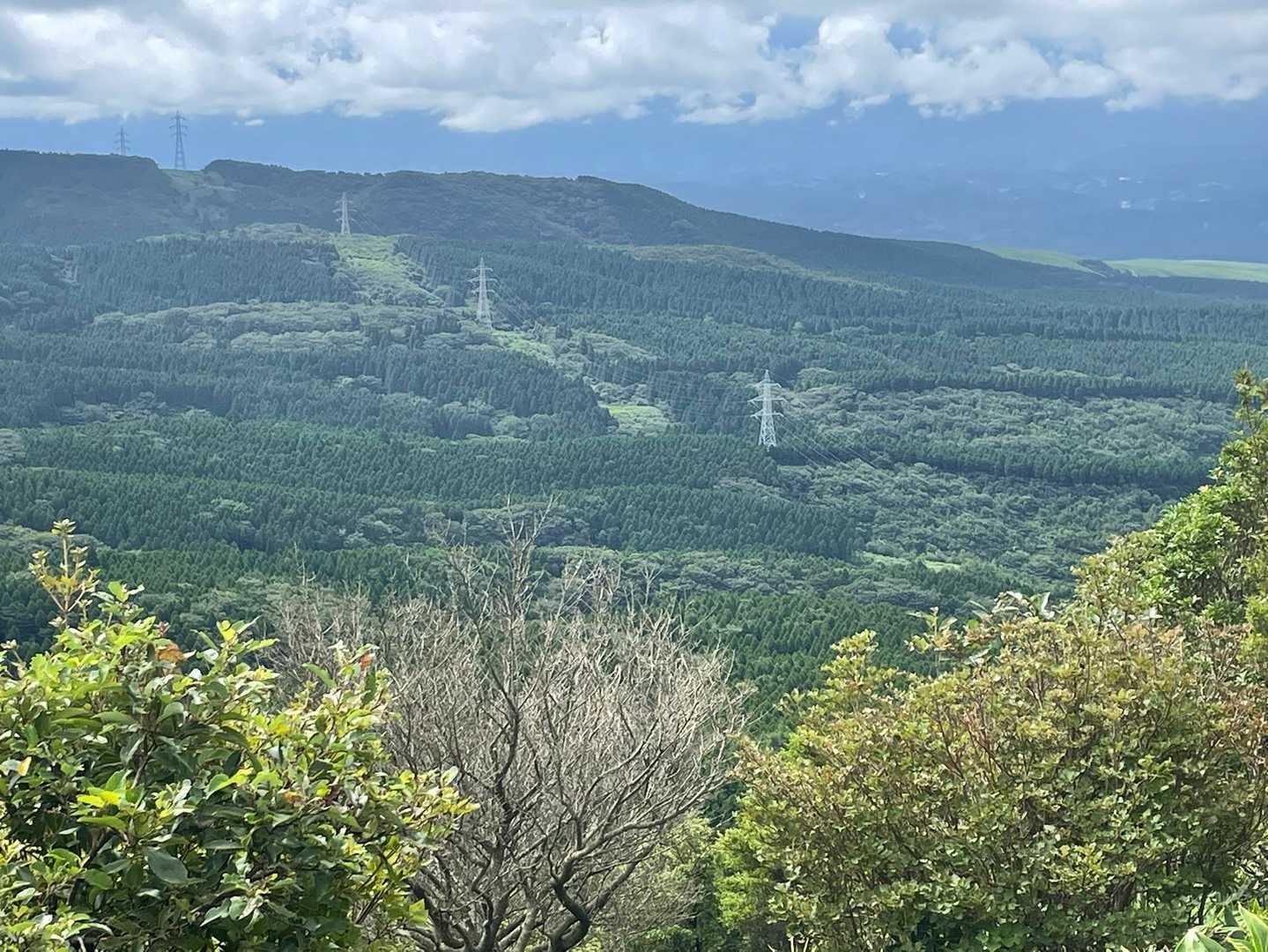 鉄塔沿いに登山道あります。
