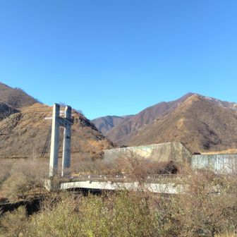 川は透き通って青や緑の色をして、魚がたくさん泳いでた。
釣り好きの同期に聞くところによると、マスらしい。