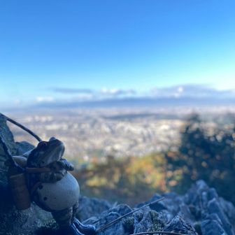 無事カエル3号も満足気🐸