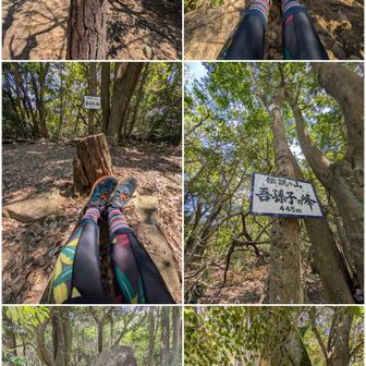 中山山頂一式。

吾孫子の峰一式。

白龍大明神。