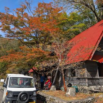 紅葉真っ盛り