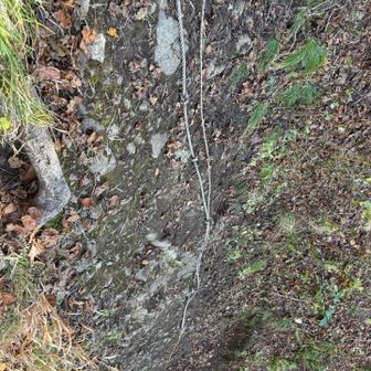 神威岳手前に現れるロープ場。ロープの中でここが1番怖かった…