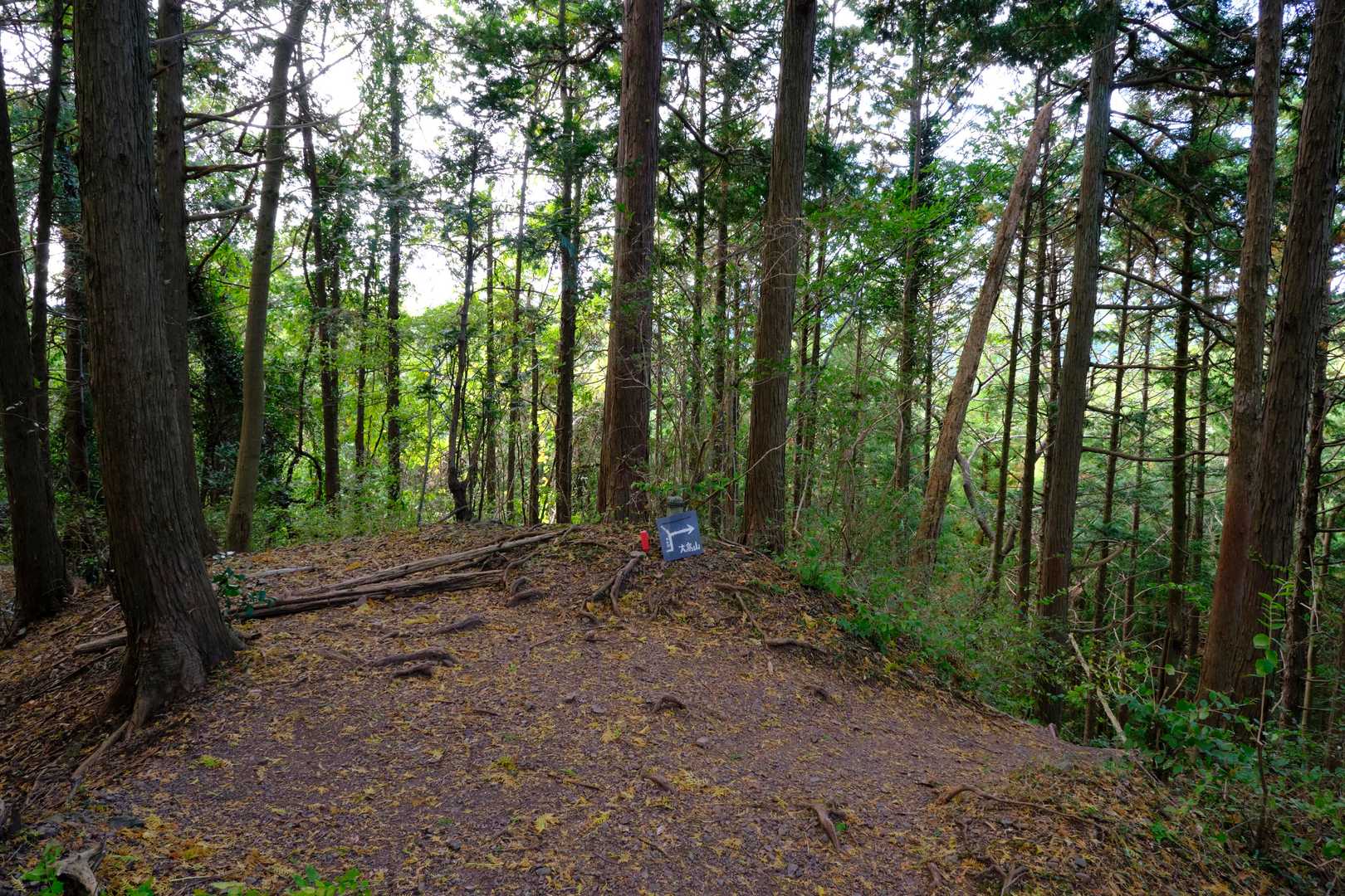 しばらく進むと、次のチェックポイントとなる『吾野ノ頭』に到着。同所は展望は無いものの、比較的拓けた小ピークで、作業道に迷い込まないよう道標も設置されている。