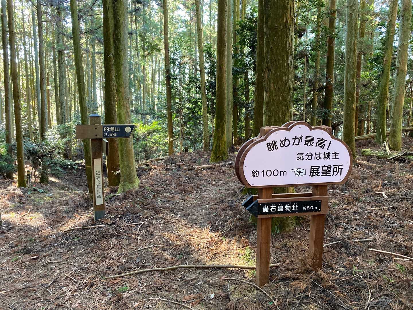 ちょっと道を外れて展望所に行くことにします。
これだけ勧められたら、行かねばなるまい！