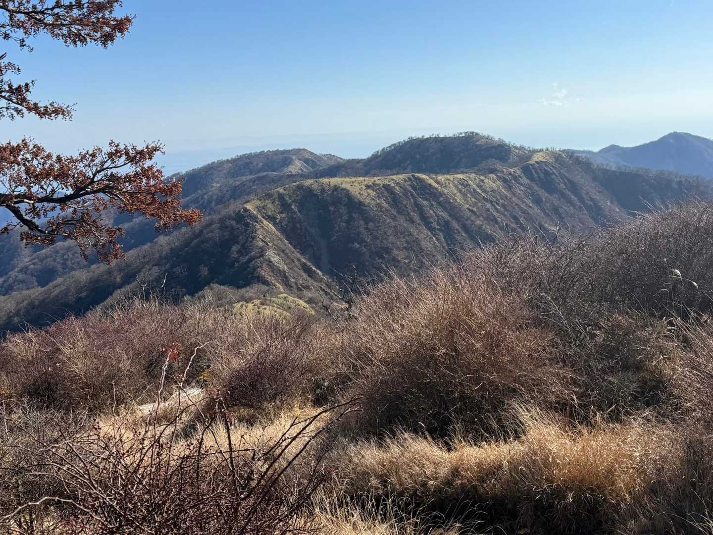丹沢山、塔ノ岳方面　稜線歩き最高だね♪