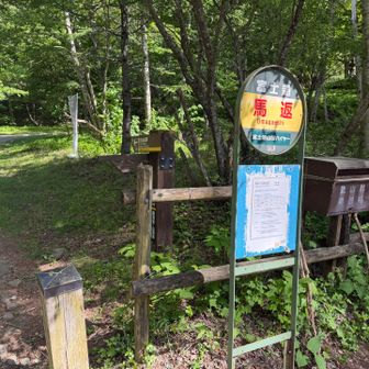 馬返しバス停に到着
15:35発の富士山駅行きで帰ります
7人乗りのタウンエースでした
現金のみ