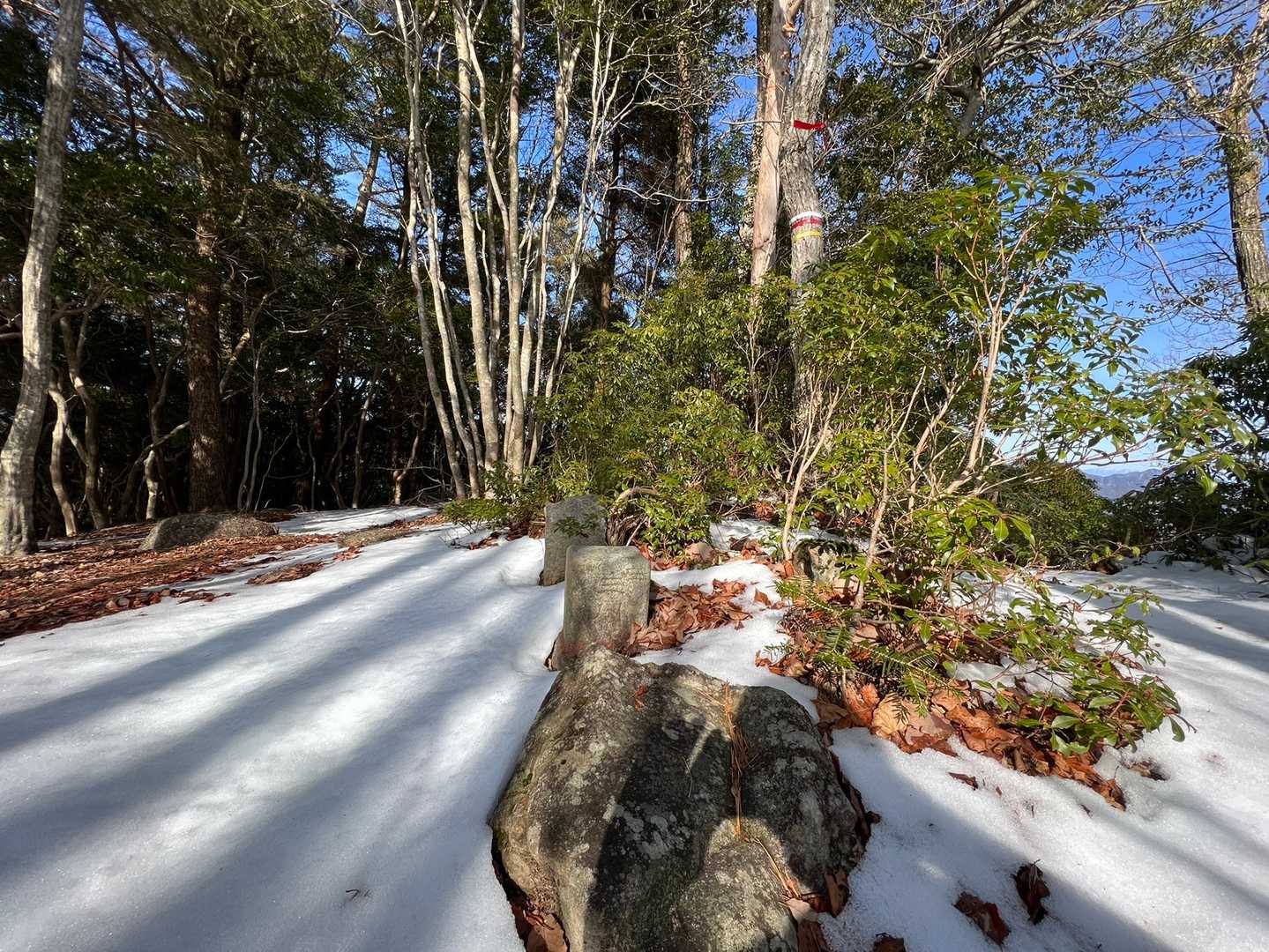 山頂🙌