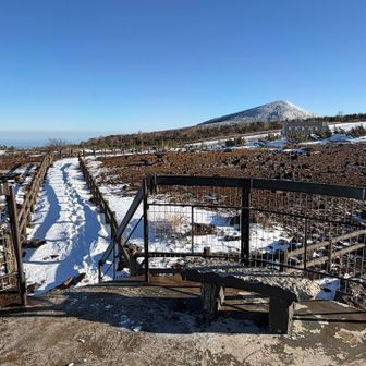 駒草平、
さー帰ろう