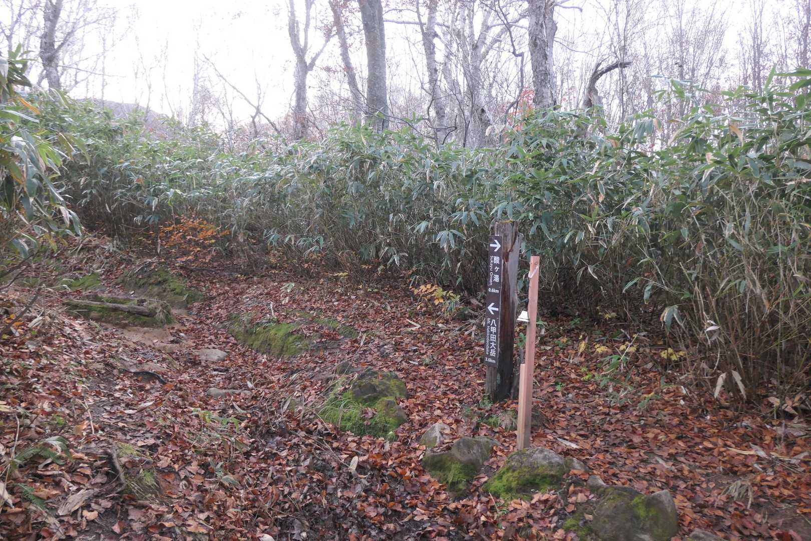 まずはゆるやかに登ります。
標識の横に熊鈴があります。