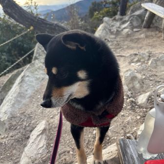 おやつ足りない？