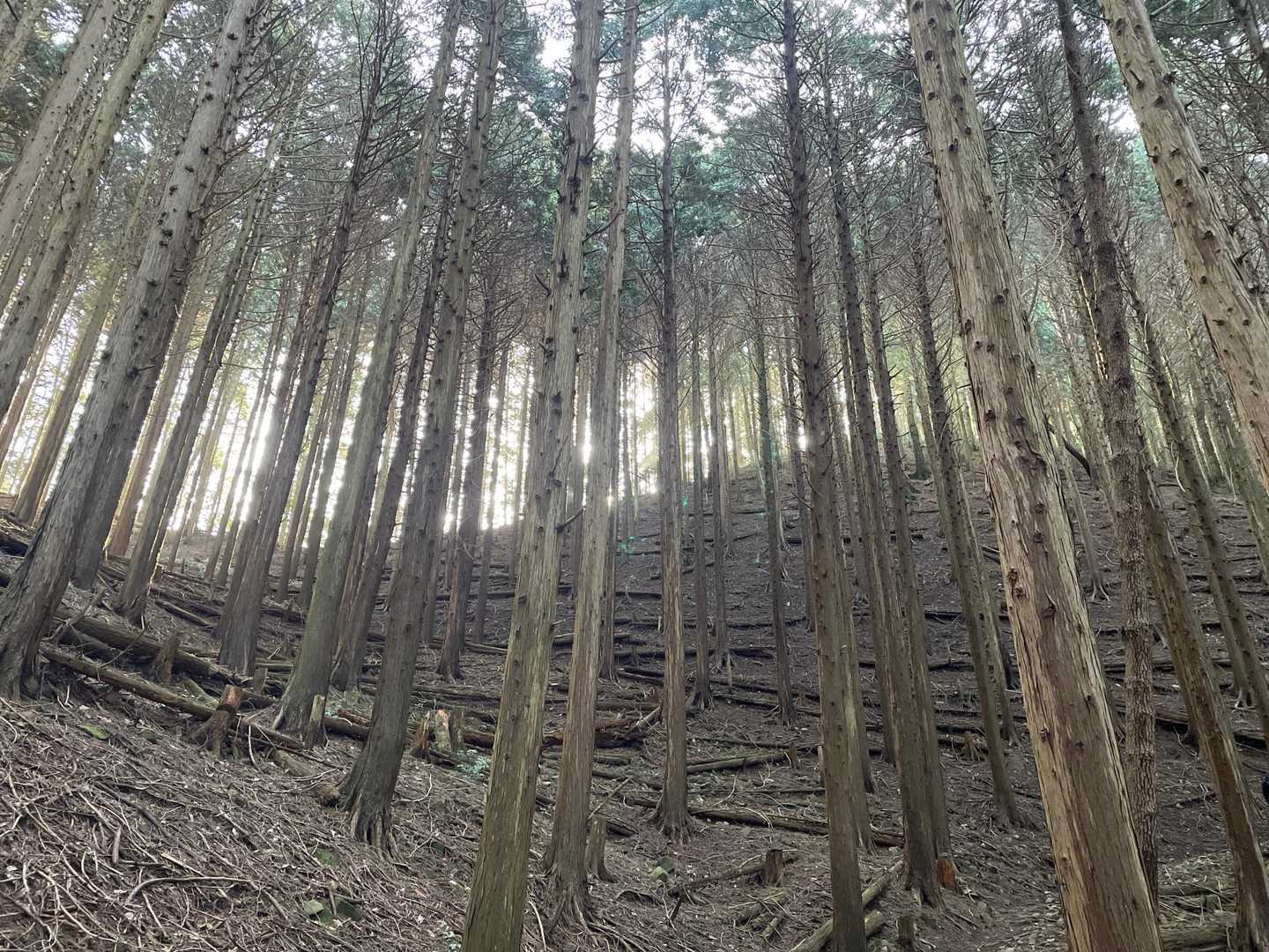 静